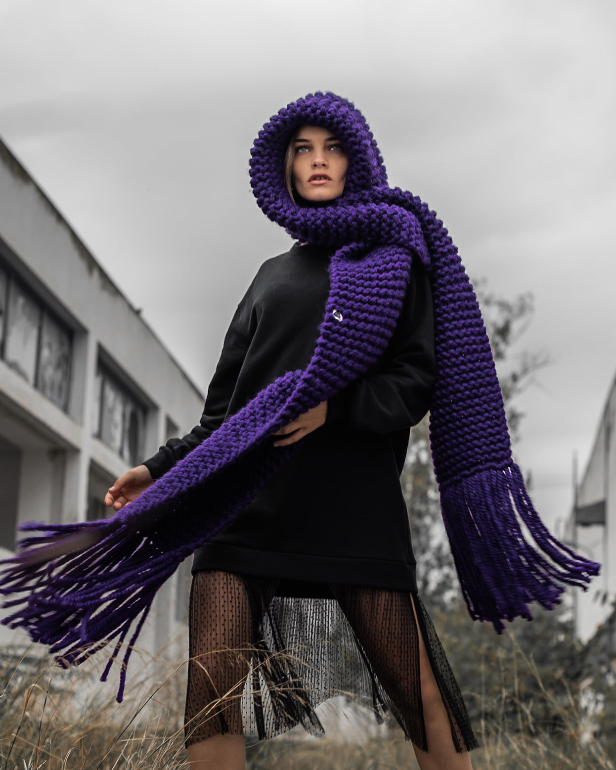 #color_purple
